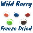 thumbnail image 3 of Klub Bulk Premium Freeze Dried Wild Berry Skittles-(9 oz) Fruity Crispy Crunch Candy Popping into a Unique Shape Bursting With Flavors-Delicious Candy Freeze Dried for Ultimate Freshness, 3 of 7