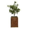 thumbnail image 1 of Artificial Tung Tree 41" Fake Plant Real Touch with Planter, 1 of 3