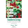 thumbnail image 4 of Southern Living Saucy Red Salvia Live Shrub in 1.5-Gallon Grower Pot, 4 of 9