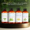 thumbnail image 6 of Majestic Pure Tea Tree Essential Oil - Pure, Natural and Premium Grade - Tea Tree Oil for Skin, Face, Hair, Nails, Acne, Scalp, Massage, Aromatherapy, Diffuser, Topical & Household Uses - 1 fl oz, 6 of 10