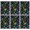 Mushroom and Psychedelic, variant on 6 Pcs Mushroom and Psychedelic Black Pattern Funny Kitchen Towels, Microfiber Dish Towels, Kitchen Tea Towels Set 18" X 26"