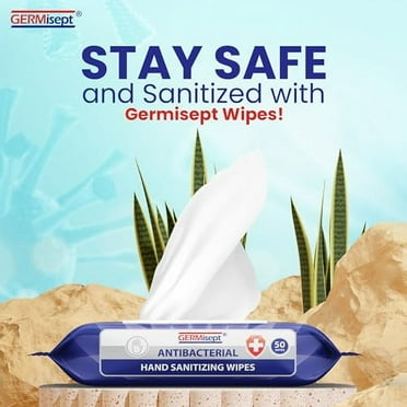Germisept Antibacterial Hand Sanitizing Wipes Bulk Buy ((50 Count x 24 Pack = 1200 Wipes))