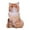 Garfield, variant on figatia Animals Pilllow Throw Pillow Washable Funny Sofa Cushion Stuffed Animals Toy for native dog