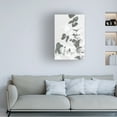 thumbnail image 2 of 1x Studio III 'Eucalyptus Creative 09' Canvas Art, 2 of 4