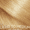 Light to Medium BlondeBlonde, variant on 3 Pack - L'Oreal Paris, Magic Root Cover Up, Light Brown 2 oz