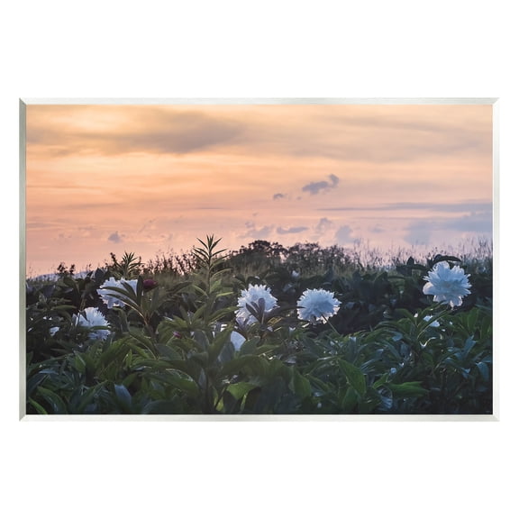 Wildflower Blossoms Sunset Sky Landscape Photograph Unframed Art Print Wall Art