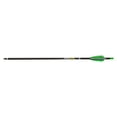 thumbnail image 1 of TenPoint Pro Elite 400 Carbon Crossbow Arrows 20" .003", 3 pack, 1 of 4