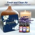 thumbnail image 2 of Noahstrong 8x10ml Essential Oils Gift Set, Orange, Jasmine, Mint Variety of Scents Essential Oils for Aromatherapy Diffuser for Relaxation, 2 of 9