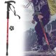 thumbnail image 3 of Alpenstock, Propicio Llamativo Ubicuo Preciso Para Interiores ANGGREK FG2717, 3 of 8