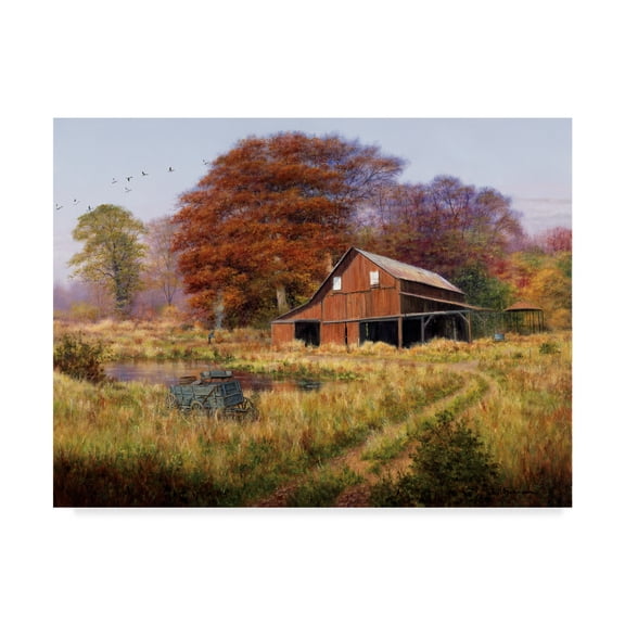 Trademark Fine Art 'Red Barn Under Trees' Canvas Art by Bill Makinson