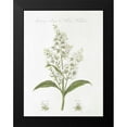 thumbnail image 2 of Wild Apple Portfolio 19x24 Black Modern Framed Museum Art Print Titled - Botany Book XI White Green, 2 of 5