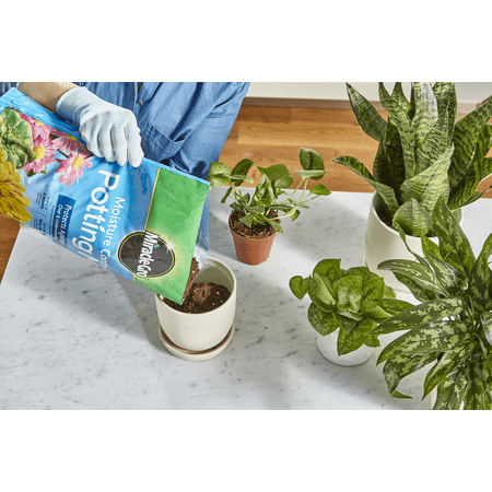 Miracle-Gro Moisture Control® Potting Mix and Miracle-Gro Water Soluble All Purpose Plant Food - Black