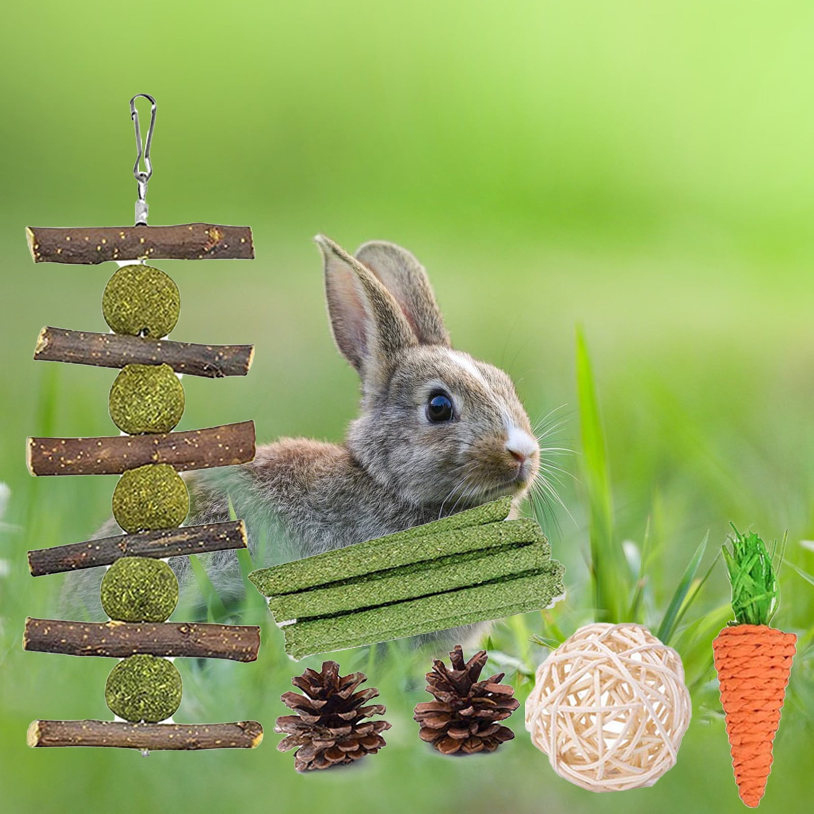 DOPI 6Pcs Bunny Toys Carrot Pine Cones Balls Natural Wood Molar Toys Hamster Play Chew Toys Pet Toys