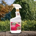 thumbnail image 3 of Bonide Captain Jack's 16 oz Deadbug Brew Ready-to-Use Insect and Mite Killer for Organic Gardening, 3 of 9