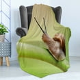 thumbnail image 4 of Snail Soft Flannel Fleece Blanket, Common Garden Animal on Stem of Plant Nature Eco Environmental Picture, Cozy Plush for Indoor and Outdoor Use, 60" x 80", Lime Green Pale Caramel, by Ambesonne, 4 of 5