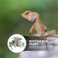 thumbnail image 4 of unbranded Planta Imitada Para Reptil En Resina Y Plástico Para Terrarios, 4 of 6