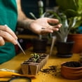 thumbnail image 2 of Bloques de esponja para plántulas, esponjas hidropónicas, cubos de cultivo para brotes, tapones, jardinería, iniciadores sin tierra, 2 of 6