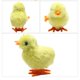 thumbnail image 4 of Juguete de peluche Wind-Up Jumping con forma de pollo, 3 nutrias, 12 unidades, 4 of 6