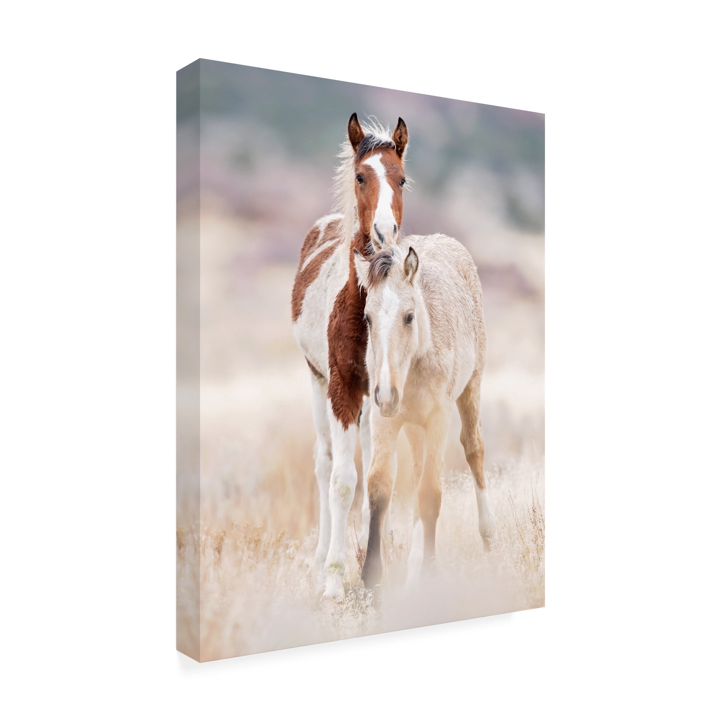 PHBurchett 'Collection of Horses X' Canvas Art
