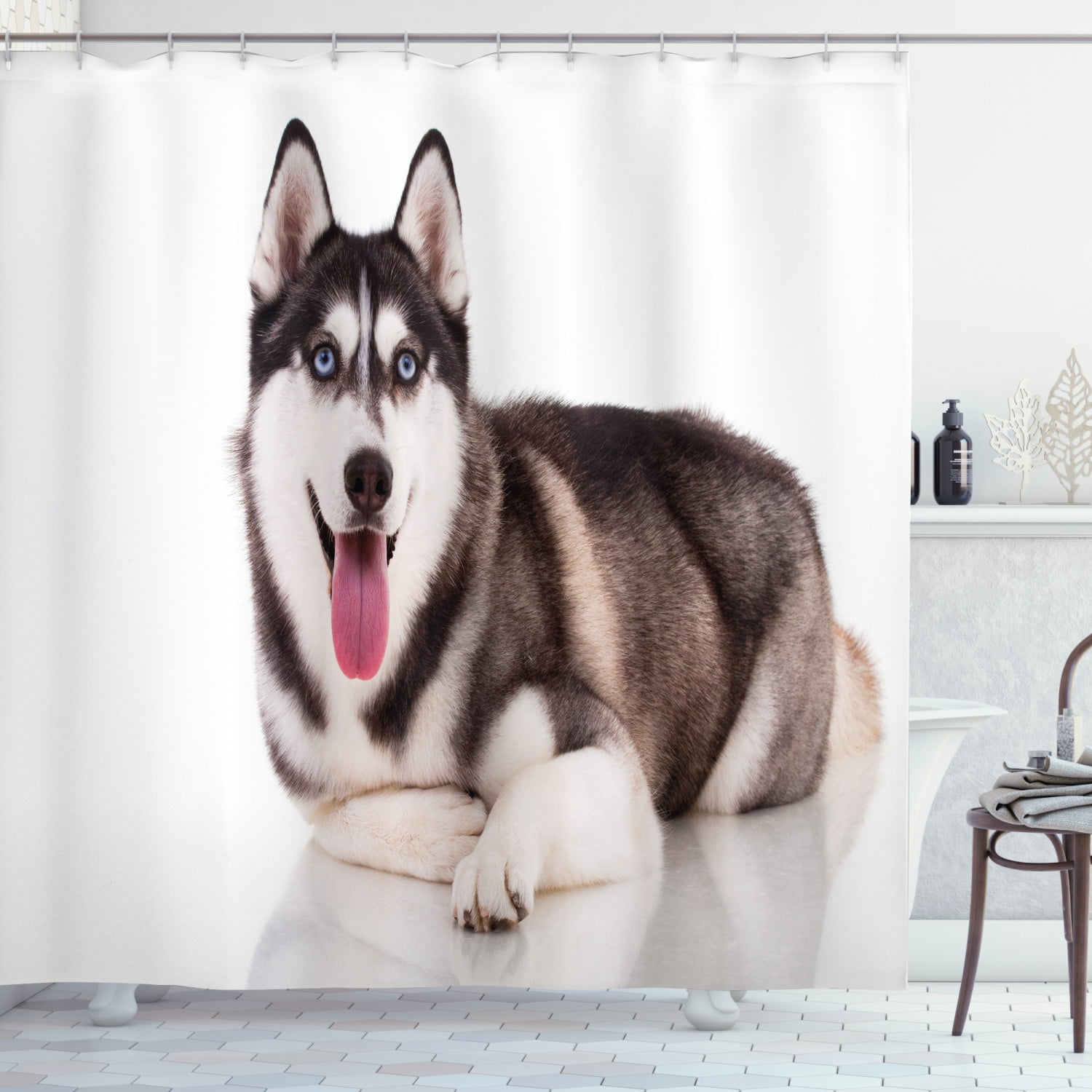 Alaskan Malamute Shower Curtain, Funny Adorable Siberian Dog Blue Eyes  Furry Domestic Canine Image, Fabric Bathroom Set with Hooks, 69W X 84L  Inches Extra Long, Brown Cream White, by Ambesonne 
