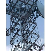 Bird Repeller,8 1/2 in H,4 in W BXP PRO 1