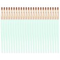 thumbnail image 1 of Pincel para lápiz labial, 24 piezas Pincel para labios Herramienta cosmética portátil Pincel para labios Calidad superior, 1 of 8