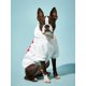 thumbnail image 5 of PETSIN Letter Graphic Pet Hoodie, 5 of 5