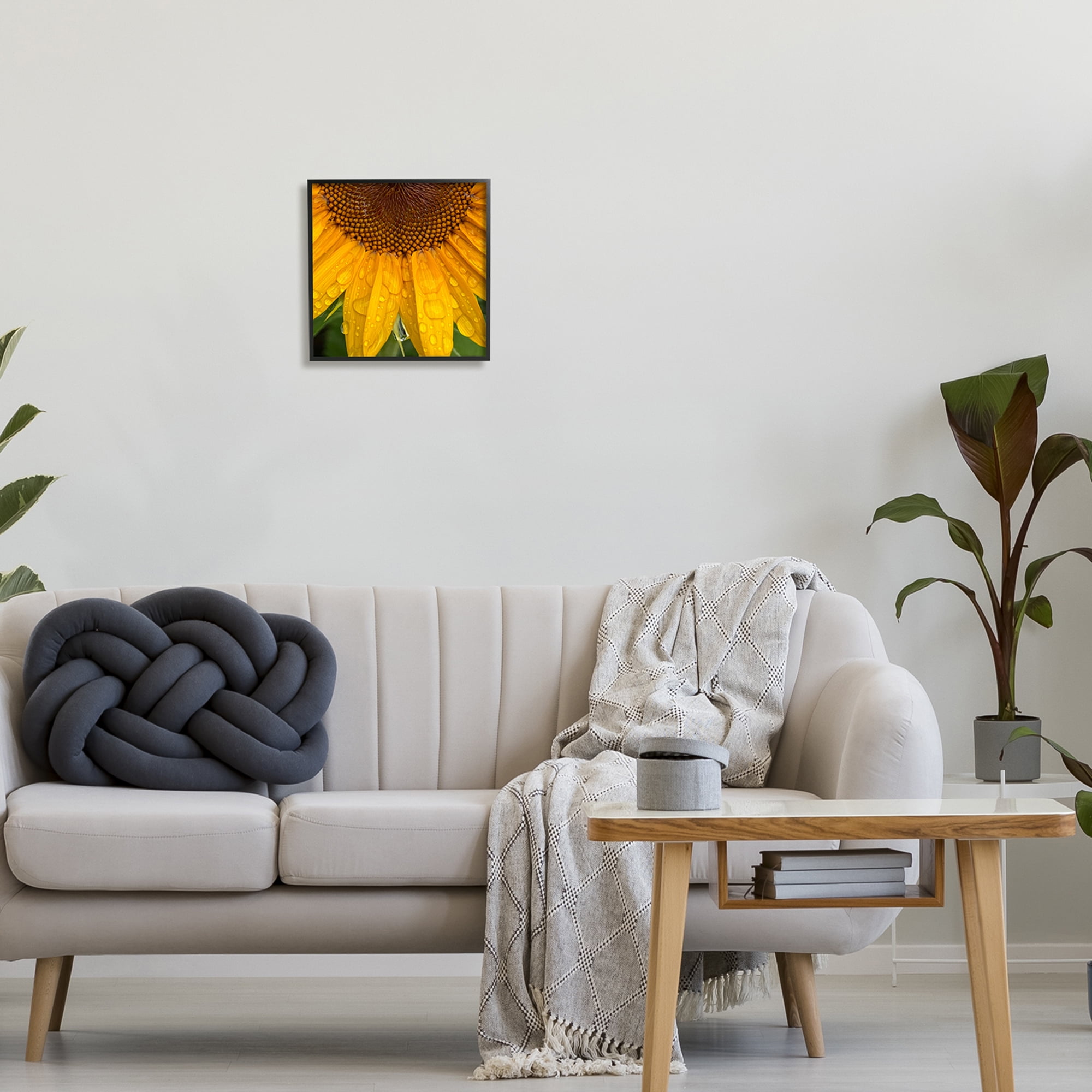 Stupell Industries Water Droplets Sunflower Nature Botanical & Floral Photography Black Framed Art Print Wall Art