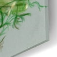 thumbnail image 3 of Epic Art 'Fennel' by Barbara Keith, Acrylic Glass Wall Art, 16"x12", 3 of 8