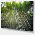 thumbnail image 2 of Design Art - Forêt de Bambous de Kyoto Japon., 2 of 3