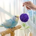 thumbnail image 4 of Beautynvta 2 Pcs Round Wicker Rattan Balls, 2'' Rattan Woven Decorative Ball Bowl Vase Filler, Wicker Balls for Birthday Home Party Table Centerpiece Wedding Decor, Purple, 4 of 6