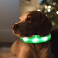 thumbnail image 3 of kusrkot Collier Lumineux LED pour Chat en Nylon Fournitures pour Chiot LED L, 3 of 9