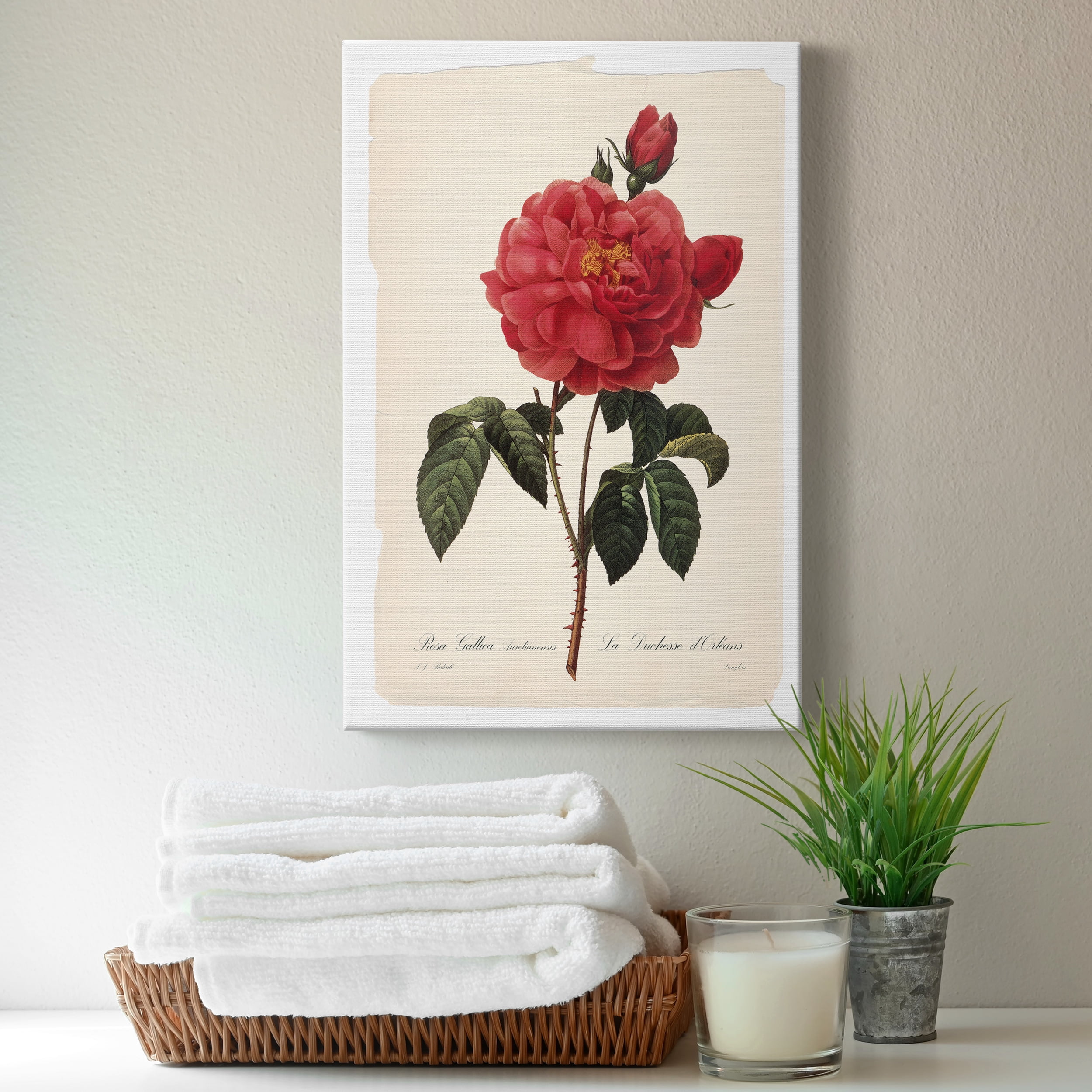 Red Botanical III Premium Gallery Wrapped Canvas - Ready to Hang - 8 x 12