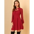 thumbnail image 4 of INSPIRE CHIC Women's Tie Neck Ruffled Mesh Long Sleeve Mini Dress, 4 of 6