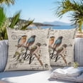 thumbnail image 4 of Outdoor Pillow Cover Parrot Tree Branch Set of 2 Waterproof Throw Pillowcases Vintage Postmark Decorative Patio Furniture Pillows for Couch Garden Indoor & Outdoor Use, 4 of 9