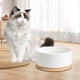 thumbnail image 1 of Tazón calefactor para mascotas, calentador de tazas USB, posavasos térmicos inteligentes constantes de 55 C con taza de cerámica, calentador de café, , blanco 350ml Macarena Cuenco calefactor para mascotas, 1 of 8