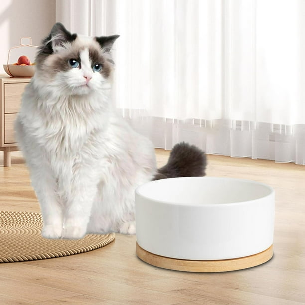 Tazón calefactor para mascotas, calentador de tazas USB, posavasos térmicos inteligentes constantes de 55 C con taza de cerámica, calentador de café, , blanco 350ml Macarena Cuenco calefactor para mascotas