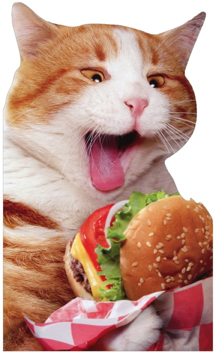 burger cat