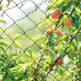 thumbnail image 2 of 5*15M Extra Strong Anti Bird Netting Garden Black Nylon, 2 of 8