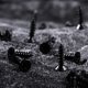 thumbnail image 2 of ColoMX Doitool 100pcs M4 * 16 Tornillos de cabeza plana Tornillos de perforación autoprocesar a la corrosión multifuncional para la madera de la pared de yeso y metal, 2 of 7