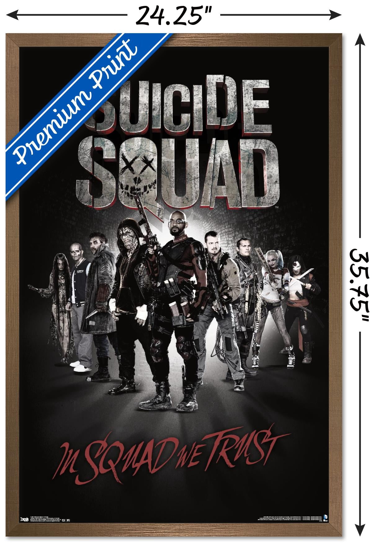 DC Comics Movie - Suicide Squad - Group Wall Poster, 22.375" x 34", Framed
