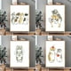 thumbnail image 2 of Cortinas cortas con dibujos de gatos para armarios, cortinas cortas con dibujos de animales, funda a prueba de polvo para estantes de zapatos, estantes de almacenamiento de cocina, cortinas para puert, 2 of 5