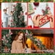 thumbnail image 4 of Esquejes Navideños de Agujas Blancas de 25 Cm, Ramas de Plástico Rojo | Aspecto Escarchado | Tallos Flexibles para Decoración Navideña, Coronas, Centros de Mesa y Arreglos Florales de Mesa., 4 of 6