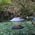 thumbnail image 3 of BRILLAR Comedero para pájaros morado al aire libre con alimentador de agua para colibríes - Comedero con correa de plástico, 3 of 5