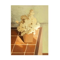 Trademark Fine Art NKTN Still Life 01 Canvas Wall Art