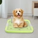 thumbnail image 4 of Inodoro para perros Zulema Bandeja de entrenamiento para perros verde, 4 of 8