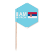 thumbnail image 1 of I Am From Serbia Art Deco  Fashion Toothpick Flags Cupcake Picks Party Celebration, 1 of 3