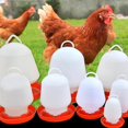 thumbnail image 1 of thinsony Automatic Poultry Drinker Waterer Water Container for Backyard Accessories 10L, 1 of 9