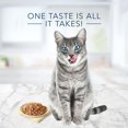 Blue Buffalo Tastefuls Flaked Wet Cat Food 3Flavor Variety Pack, 3oz
