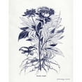 thumbnail image 3 of Babbitt, Gwendolyn 12x14 Black Modern Framed Museum Art Print Titled - Indigo Botanical III, 3 of 5